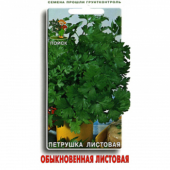 Петрушка Обыкновенная листовая