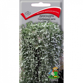 Дихондра Серебряные нити