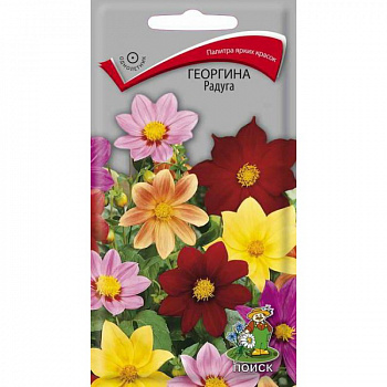 Георгина Радуга