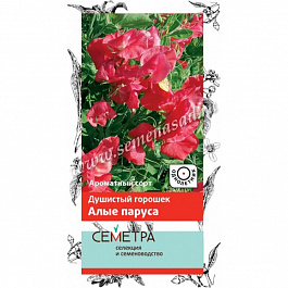 Душистый горошек Алые паруса
