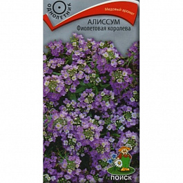 Алиссум Фиолетовая королева