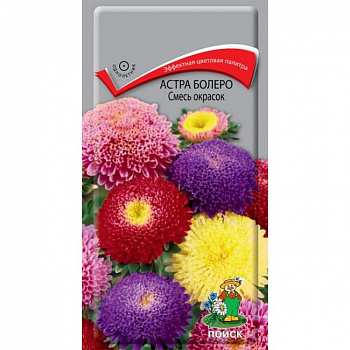 Астра болеро Смесь окрасок