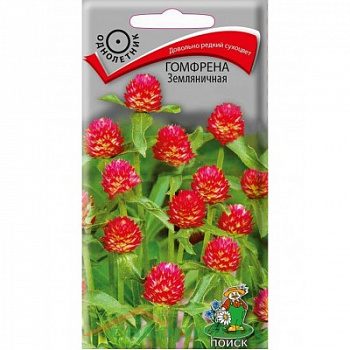 Гомфрена Земляничная