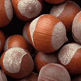 Фундук Tonda Romana