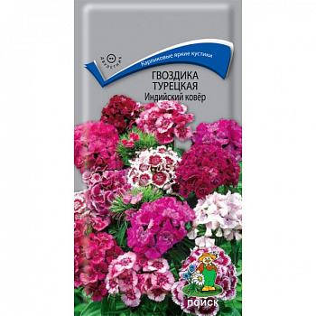 Гвоздика Турецкая Индийский ковер