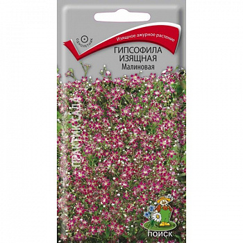 Гипсофила изящная Малиновая