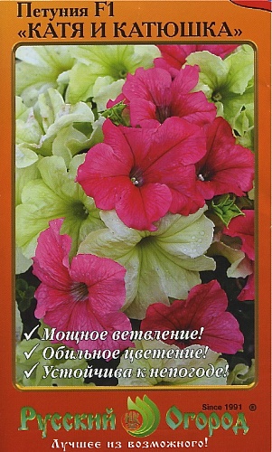 Петуния Катя и Катюшка F1