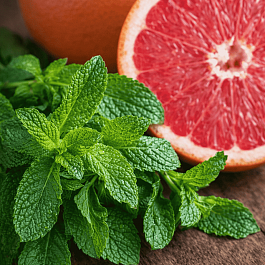 Мята Красный грейпфрут