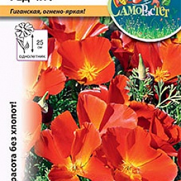 Эшшольция (калифорнийский мак) Ред Чиф