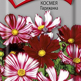 Космея Парижанка