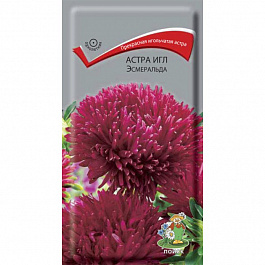 Астра игл Эсмеральда