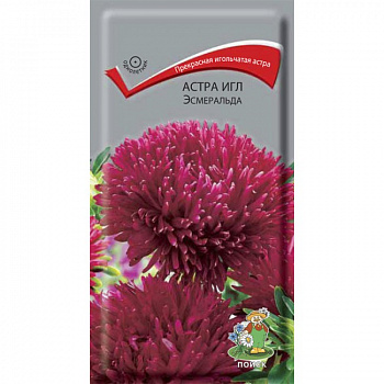 Астра игл Эсмеральда