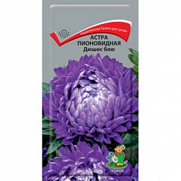 Астра пионовидная Дюшес блю