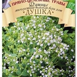 Душица (Орегано) обыкновенная Душка
