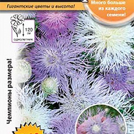 Василек (Волошка) Смесь