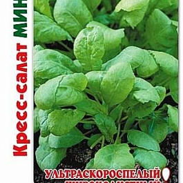 Салат Кресс Минутка