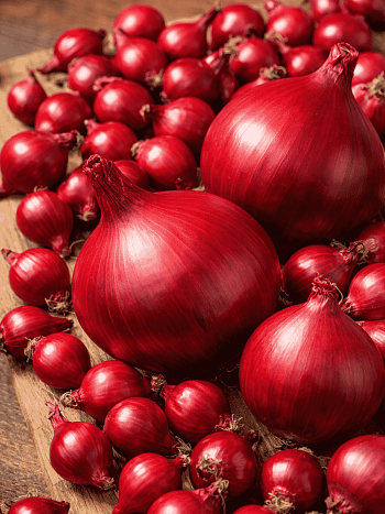 Лук-севок Ред Кармен
