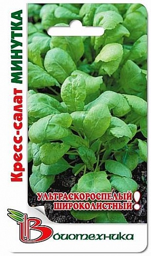 Салат Кресс Минутка