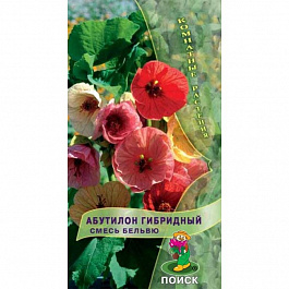Абутилон гибридный Смесь Бельвю