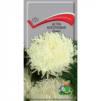 Астра коготковая Ориент