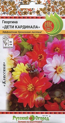 Георгина Дети Кардинала