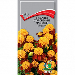 Бархатцы отклоненные махровые Тайгер Айс