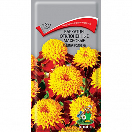 Бархатцы отклоненные махровые Желтая головка