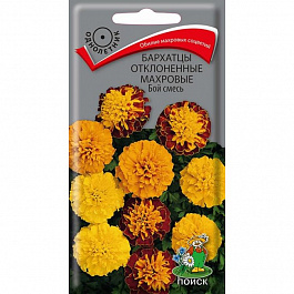 Бархатцы отклоненные махровые Бой смесь