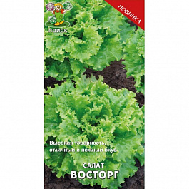 Салат Восторг