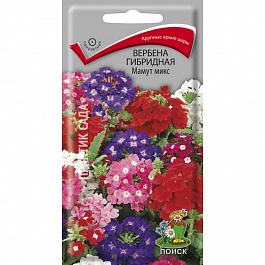 Вербена гибридная Мамут микс