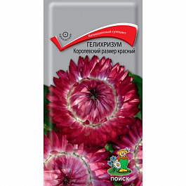 Гелихризум Королевский размер красный