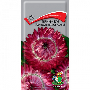 Гелихризум Королевский размер красный