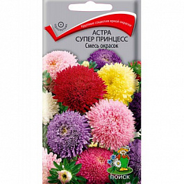 Астра супер принцесс Смесь окрасок