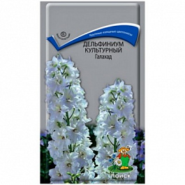 Дельфиниум культурный Галахад