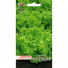 Салат Рапсодия