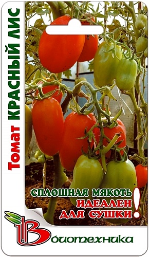 Томат (Помидор) обыкновенный Красный Лис