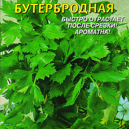 Петрушка Бутербродная
