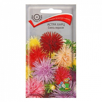 Астра харц Смесь окрасок