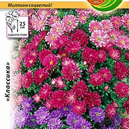 Астра Пиноккио, смесь