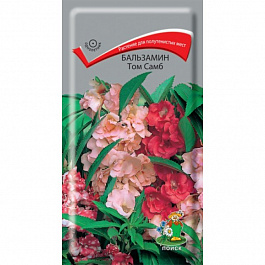 Бальзамин Том Самб