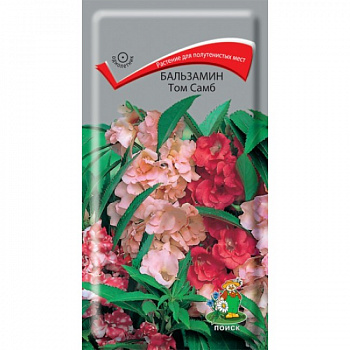 Бальзамин Том Самб