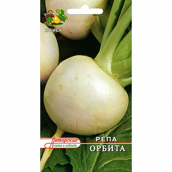 Репа Орбита