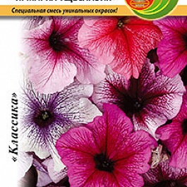 Петуния Ярмарка Тщеславия F1