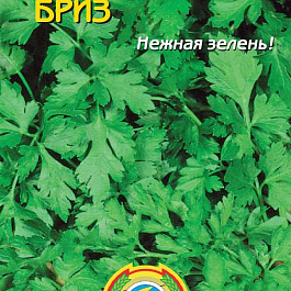 Петрушка Бриз