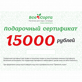 Подарочный сертификат на 15000 рублей