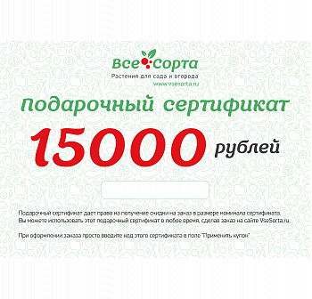 Подарочный сертификат на 15000 рублей