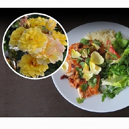 Роза чайно-гибридная Кулинарная Надя Зеруали