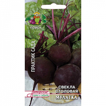 Свёкла столовая Мулатка Свёкла столовая Мулатка