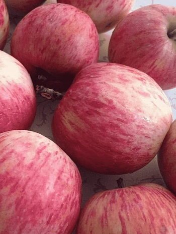 Яблоня Штрейфлинг