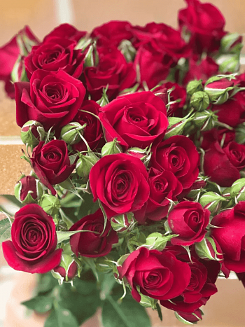 Роза спрей Rubicon